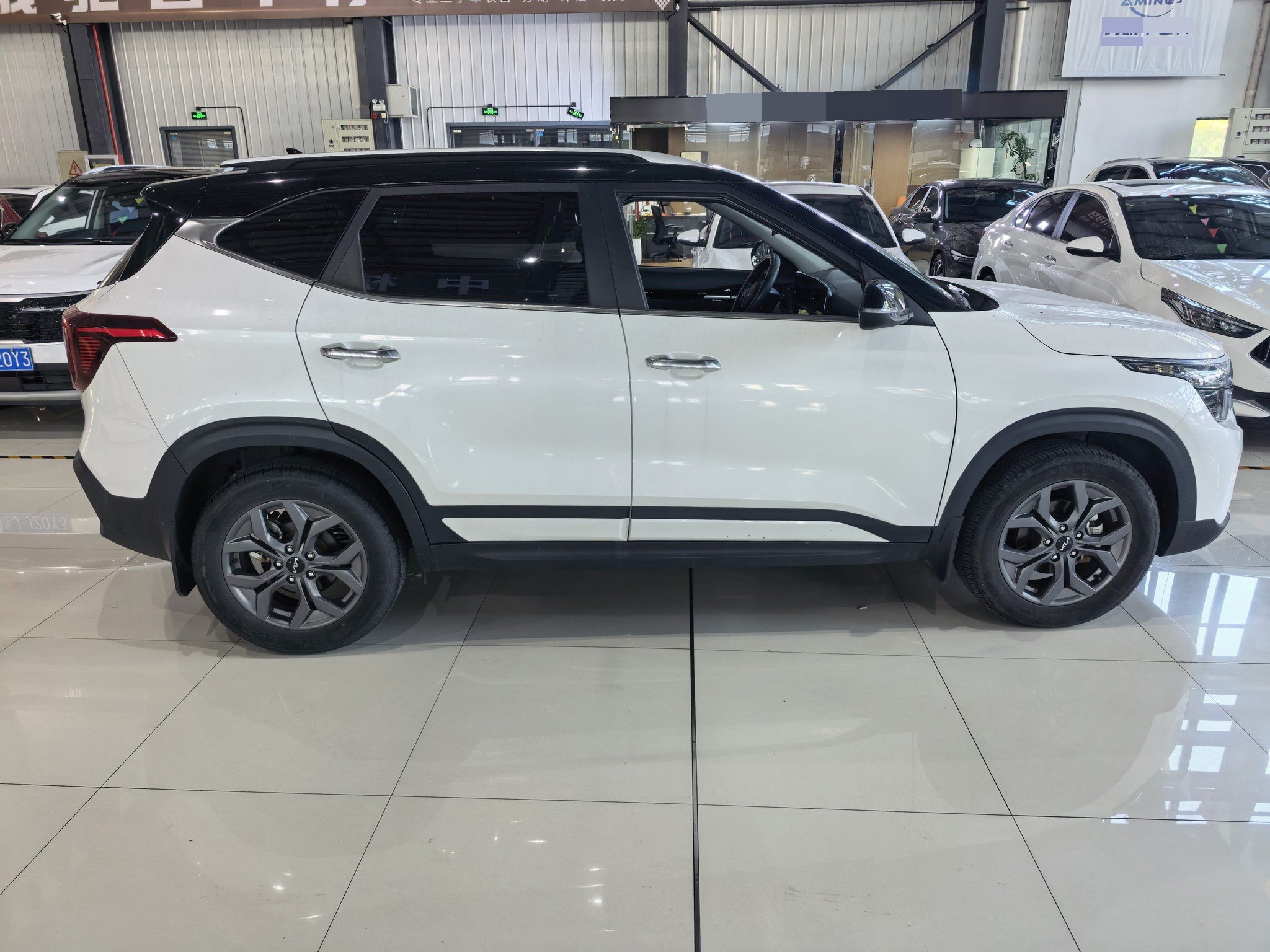 Kia Seltos 2024 immagine di auto #4