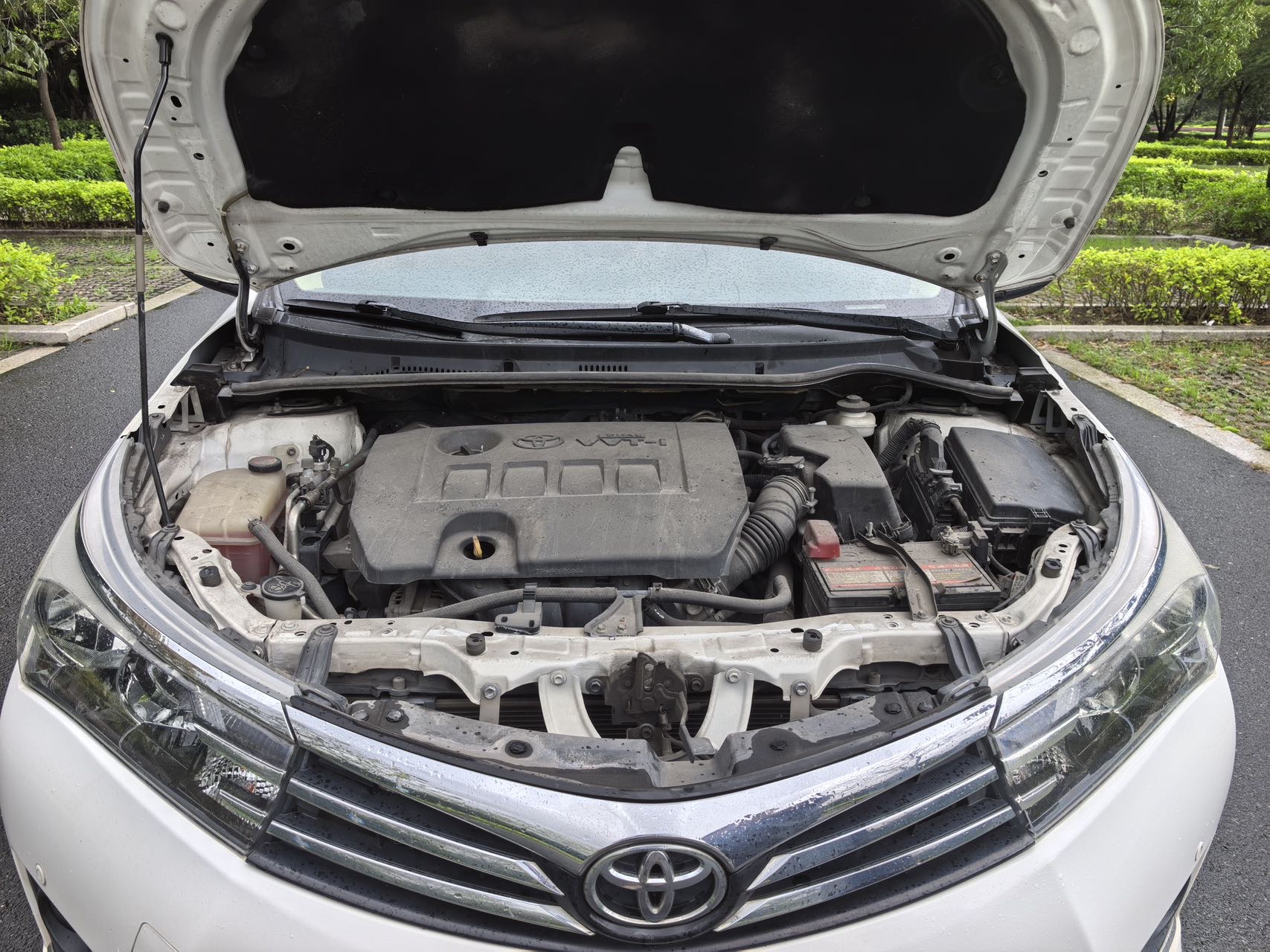 Toyota Corolla 2015 #11 Toyota Corolla 2015 car image #11