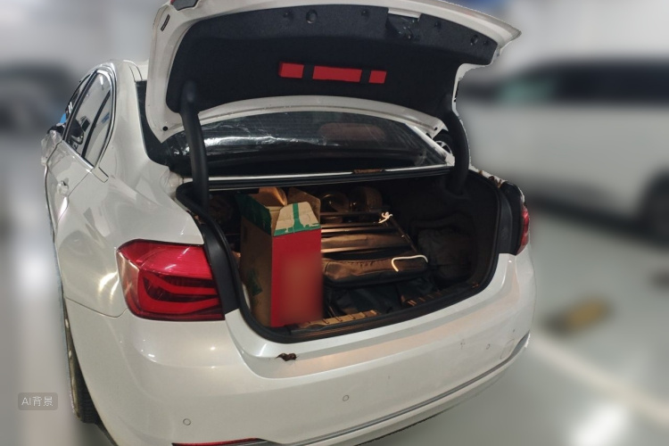 BMW 3 Series 2018 car image #21