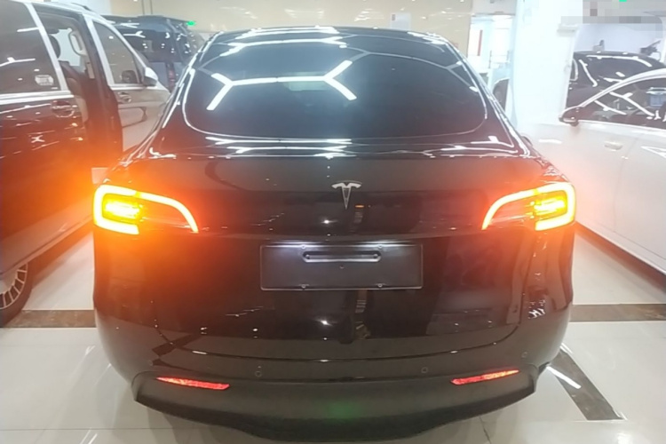 Tesla Model Y 2023 #6 Tesla Model Y 2023 car image #6