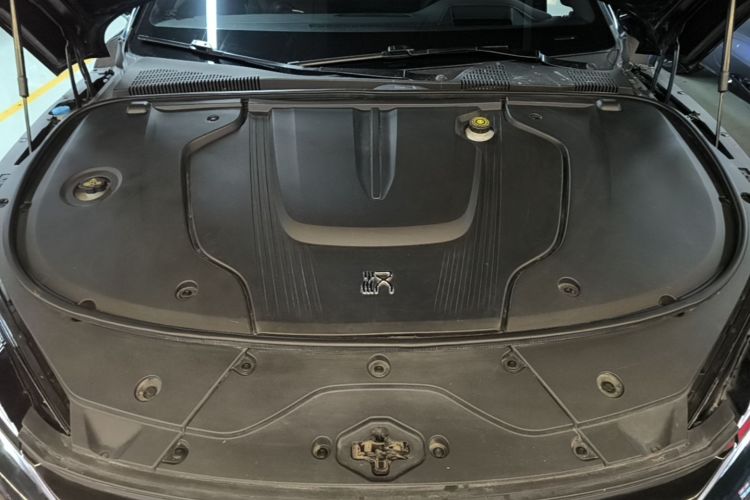 BYD Han 2022 car image #20