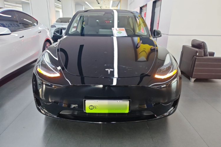 Tesla Model Y 2023 #3 Tesla Model Y 2023 car image #3