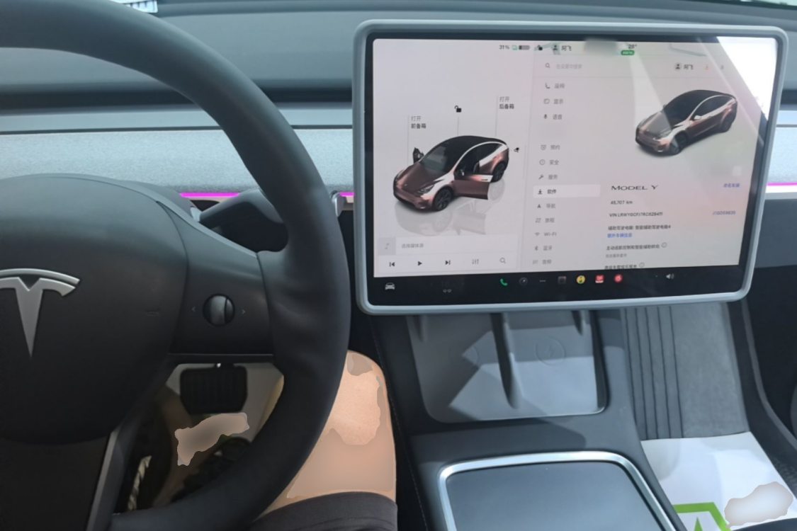 Tesla Model Y 2024 car image #10
