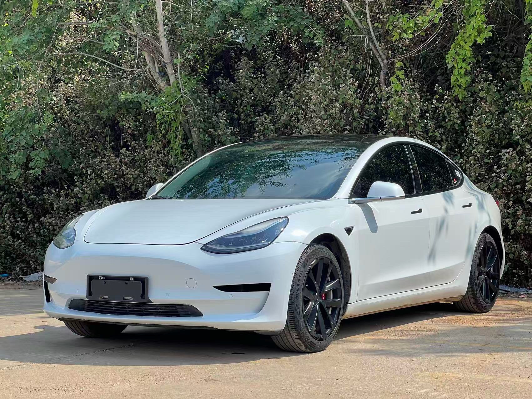 Tesla Model 3 2020 Tesla Model 3 2020 immagine di auto