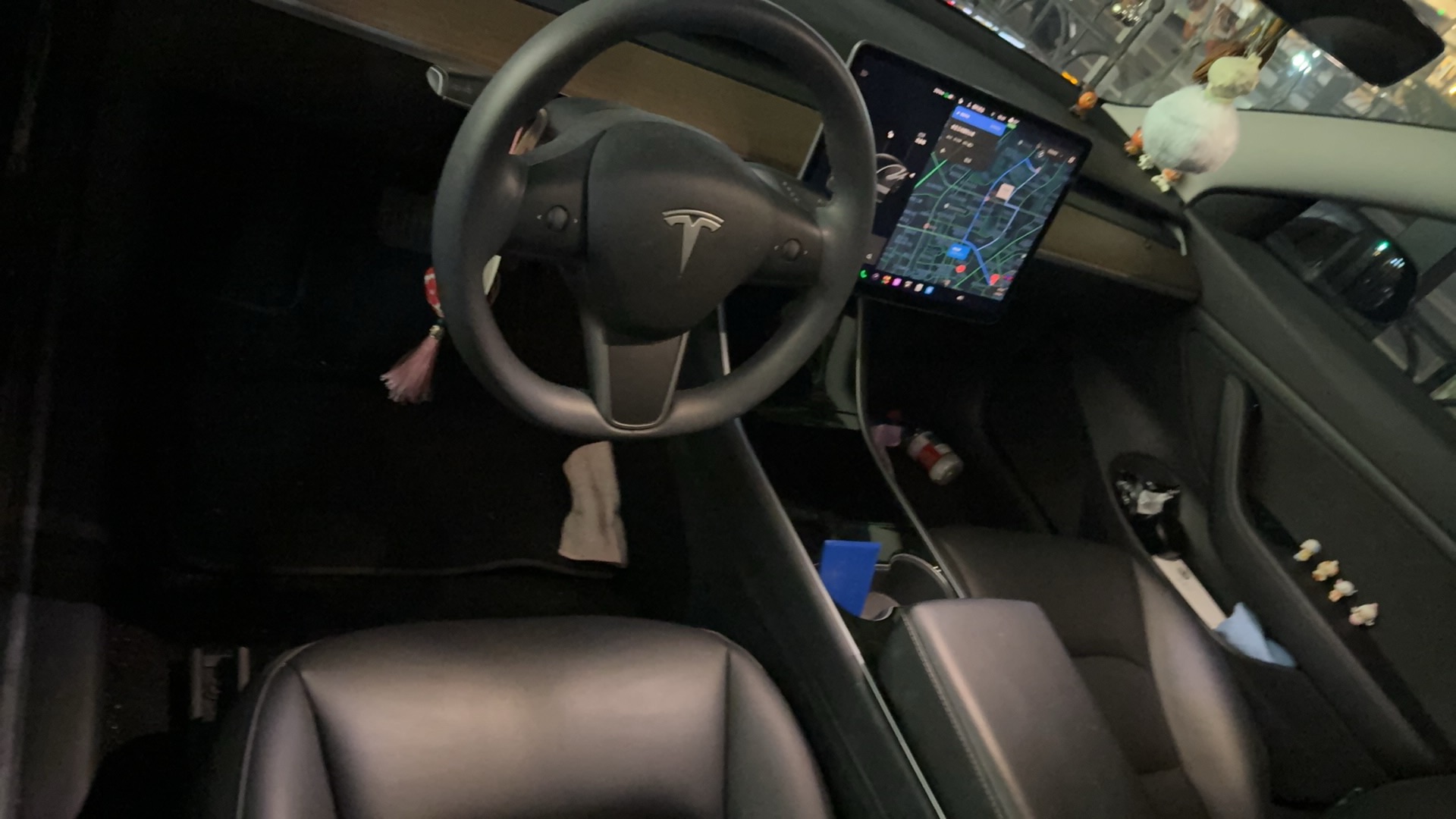 Tesla Model 3 2020 imagem de carro #5