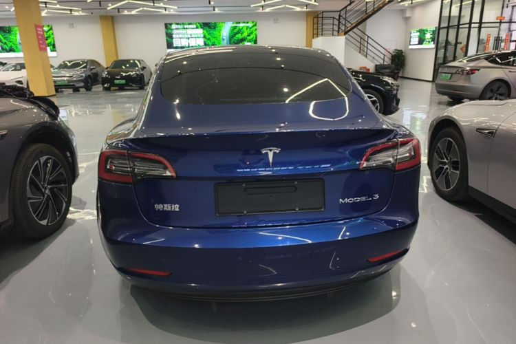 Tesla Model 3 2021 #6 Tesla Model 3 2021 car image #6