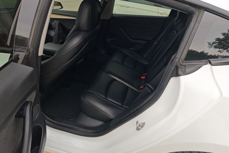 Tesla Model 3 2021 car image #17