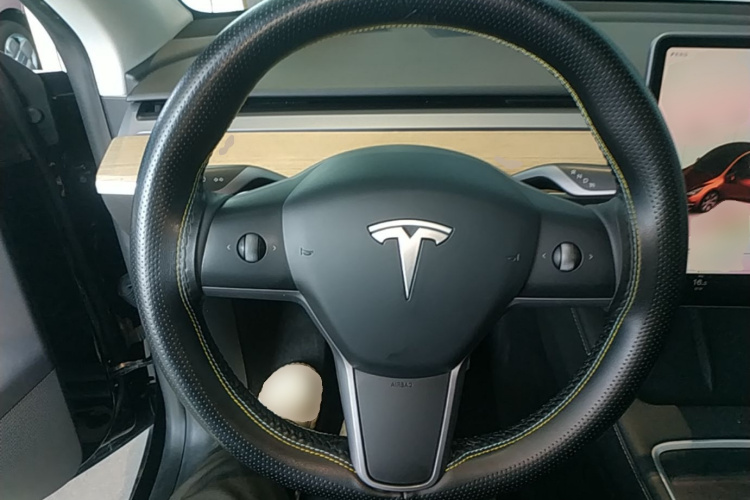 Tesla Model Y 2023 car image #11