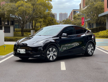 Tesla Model Y 2021 Tesla Model Y 2021 car image