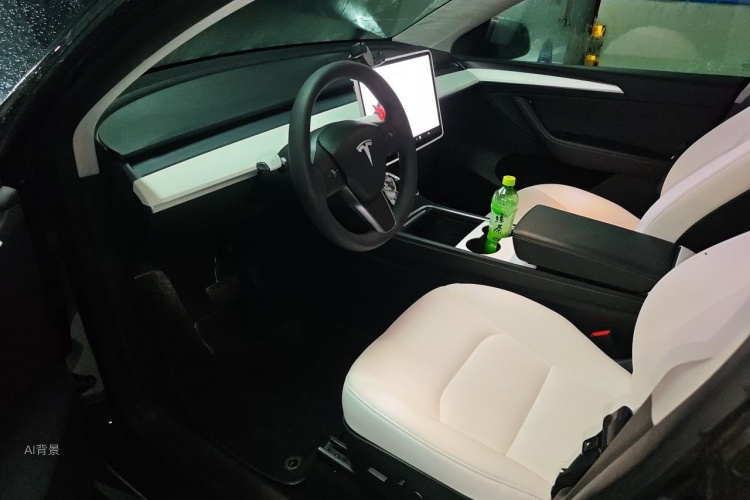 Tesla Model Y 2021 car image #18
