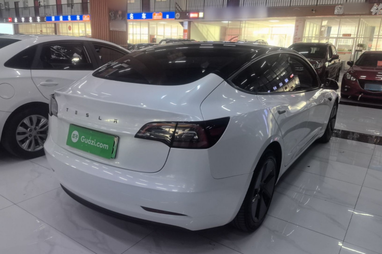 Tesla Model 3 2022 car image #7