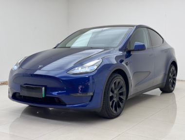Tesla Model Y 2021 Tesla Model Y 2021 car image