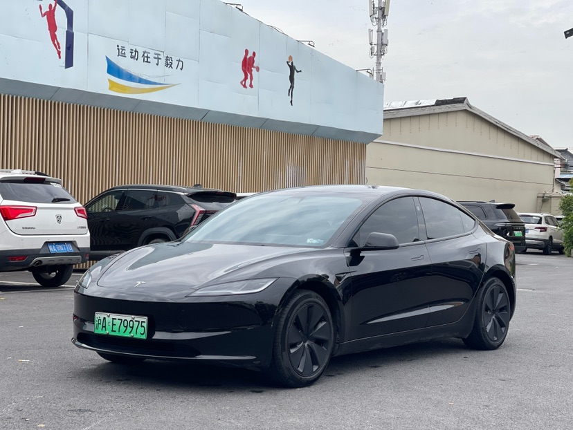 Tesla Model 3 2024 car image 