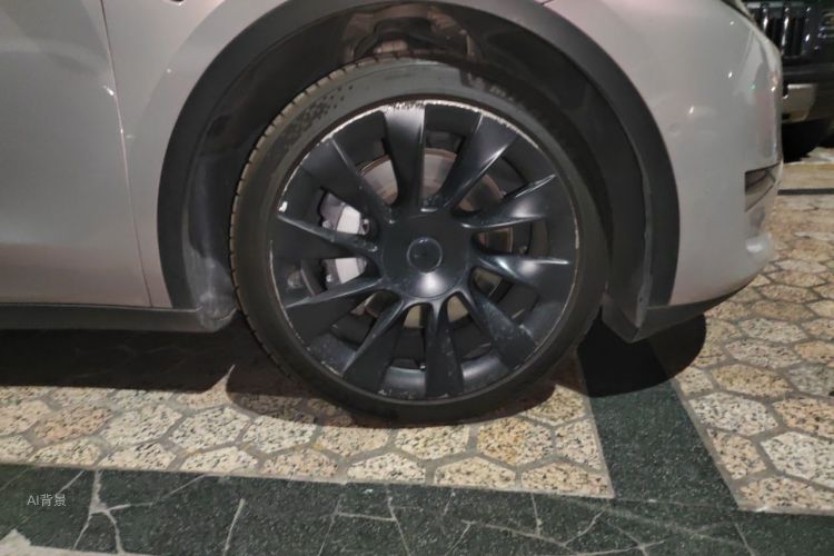 Tesla Model Y 2021 car image #9