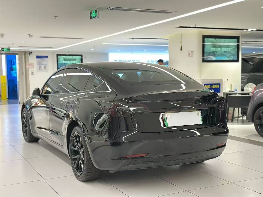 Tesla Model 3 2021 #10 Tesla Model 3 2021 car image #10
