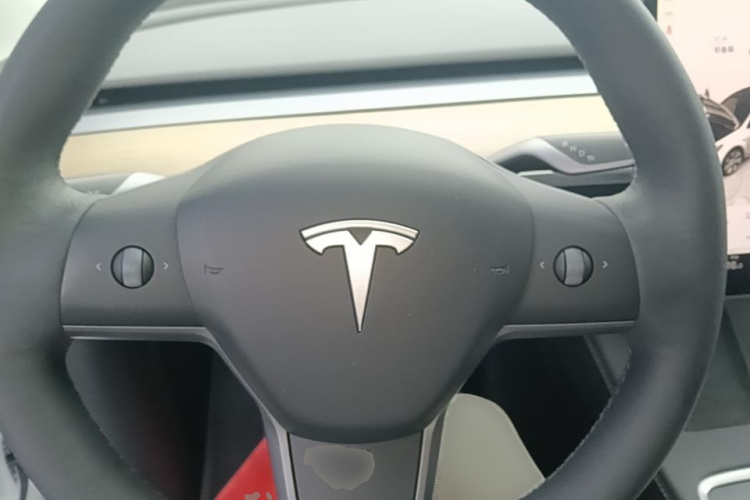 Tesla Model Y 2023 car image #11