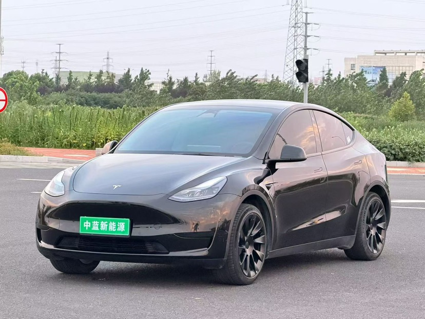 Tesla Model Y 2024 car image 
