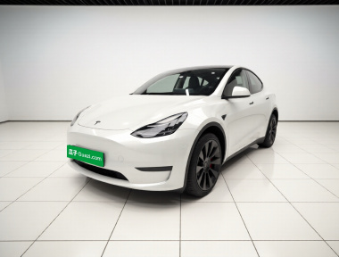 Tesla Model Y 2022 Tesla Model Y 2022 car image