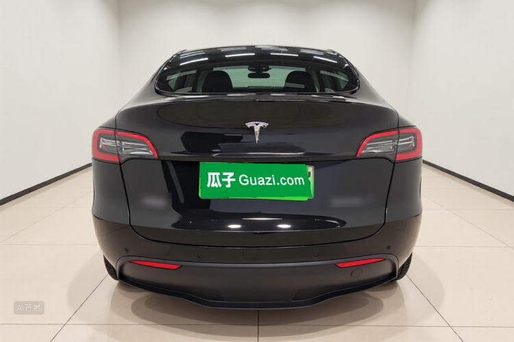 Tesla Model Y 2021 car image #6