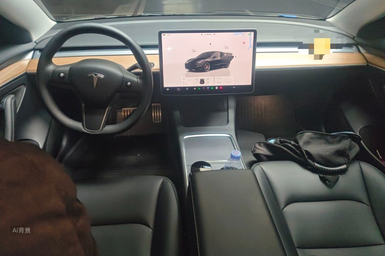 Tesla Model 3 2022 car image #11