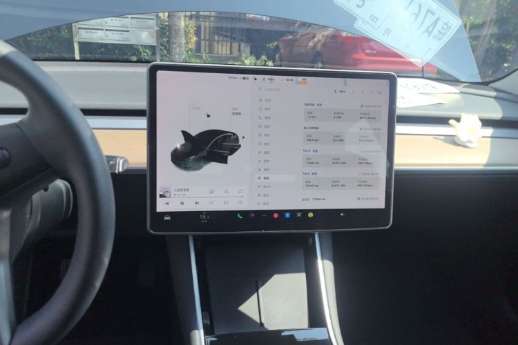 Tesla Model 3 2020 car image #13