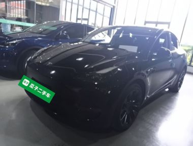 Tesla Model Y 2022 car image 