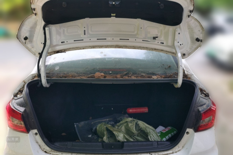 Chery Arrizo 5 2019 #21 Chery Arrizo 5 2019 immagine di auto #21