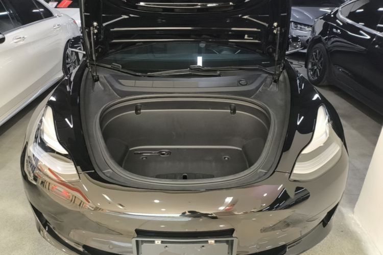 Tesla Model 3 2020 #20 Tesla Model 3 2020 car image #20