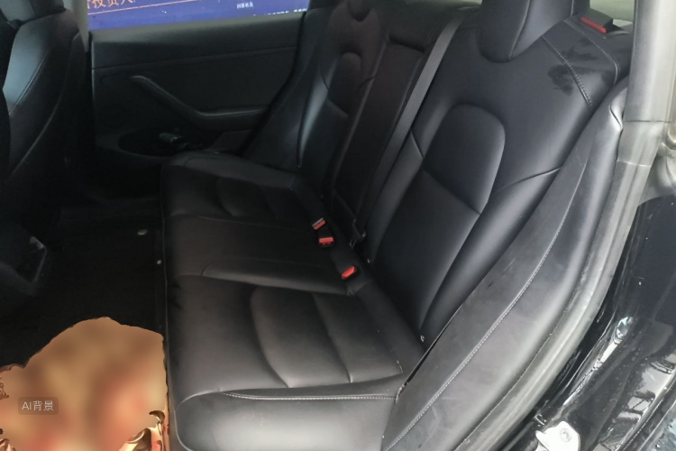 Tesla Model 3 2022 #19 Tesla Model 3 2022 car image #19