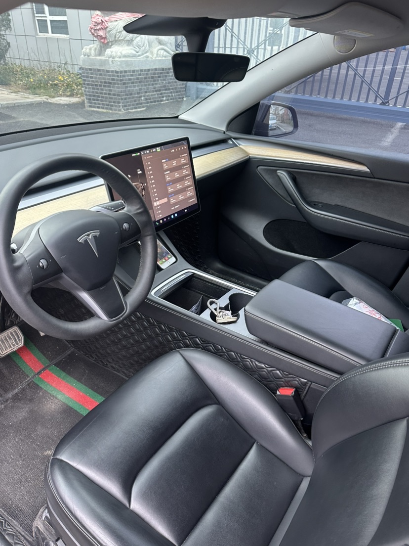 Tesla Model Y 2023 car image #4