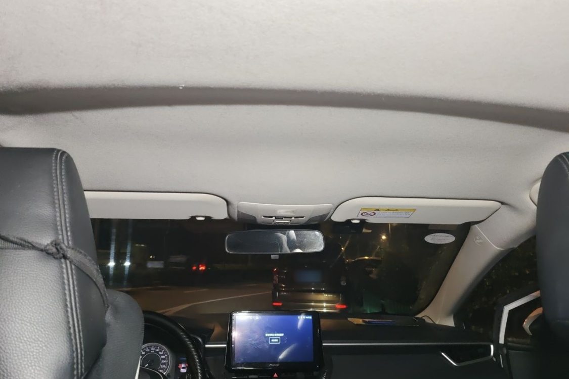 Toyota Corolla 2019 car image #20