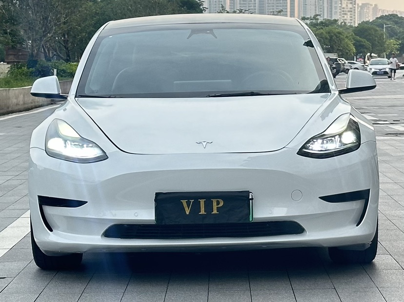 Tesla Model 3 2022 car image #2