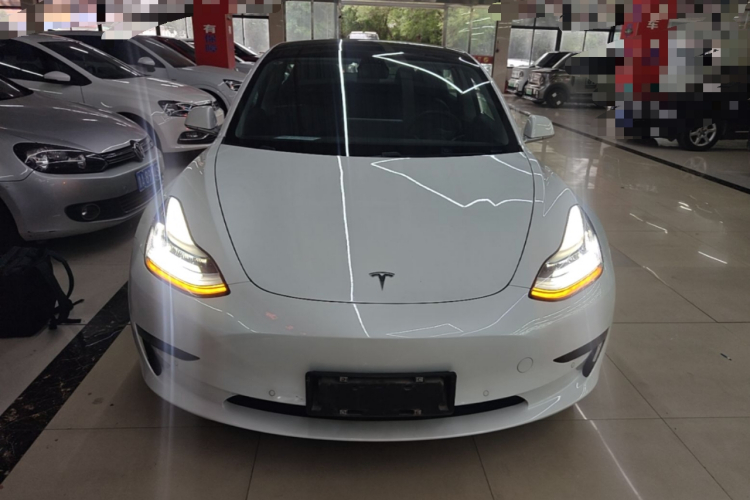 Tesla Model 3 2019 #3 Tesla Model 3 2019 car image #3