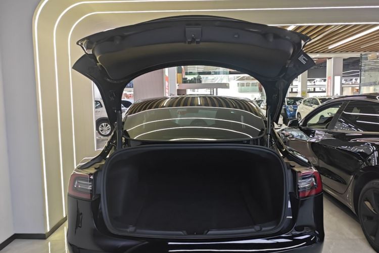 Tesla Model 3 2021 #21 Tesla Model 3 2021 immagine di auto #21