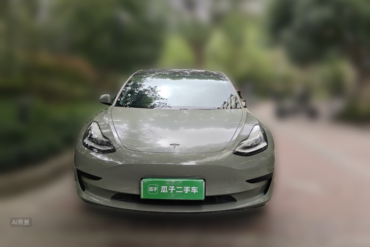 Tesla Model 3 2020 car image #3