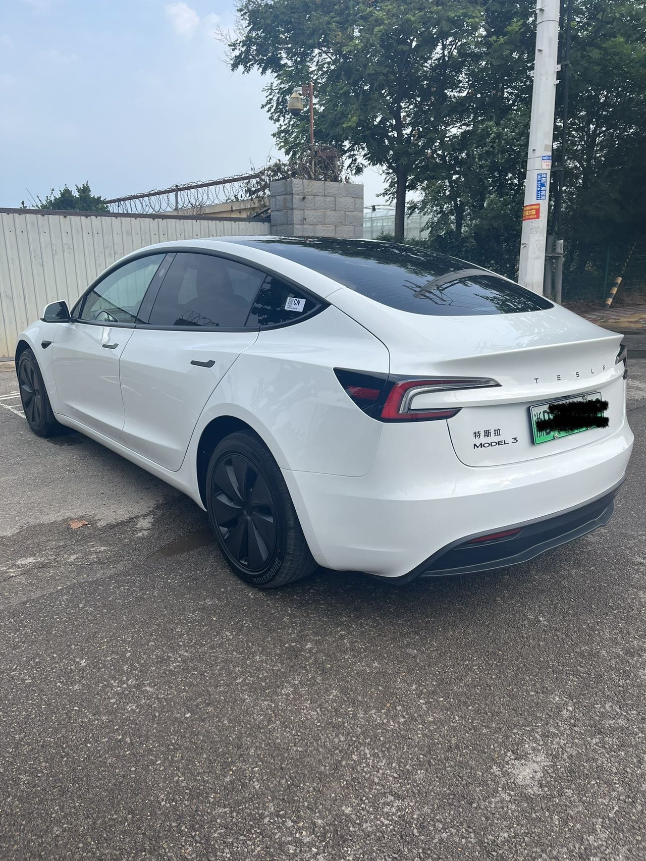 Tesla Model 3 2026 car image #6
