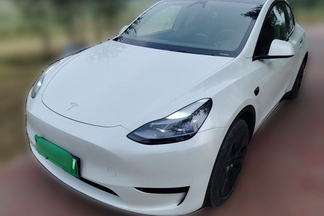 Tesla Model Y 2024 car image 