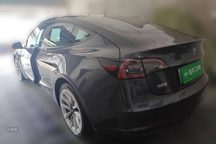 Tesla Model 3 2021 car image #5