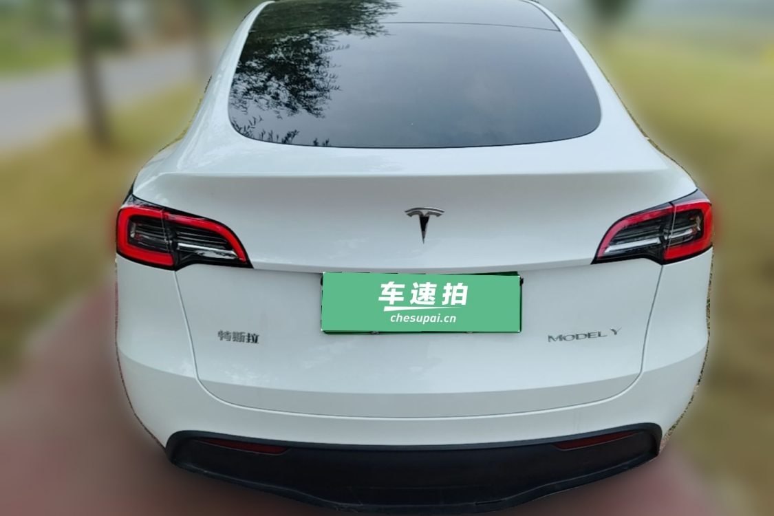 Tesla Model Y 2024 car image #4