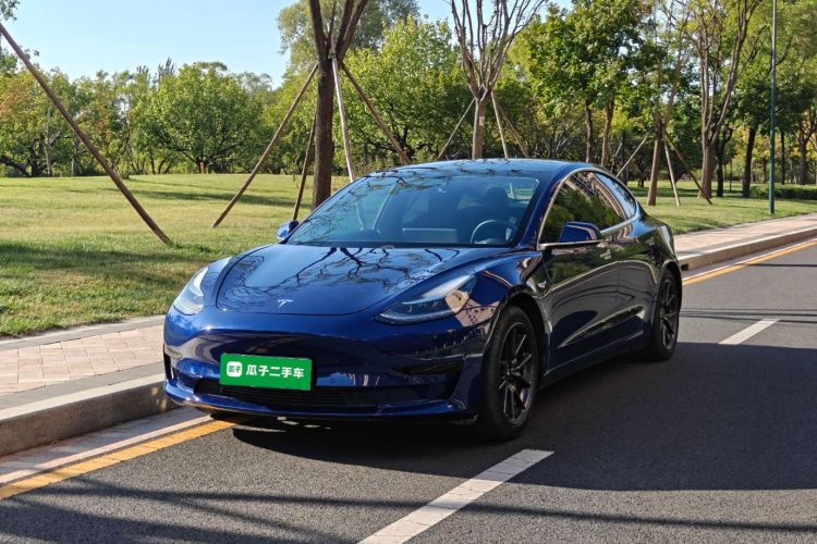 Tesla Model 3 2020 car image #2