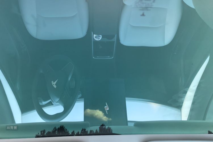 Tesla Model 3 2021 car image #20