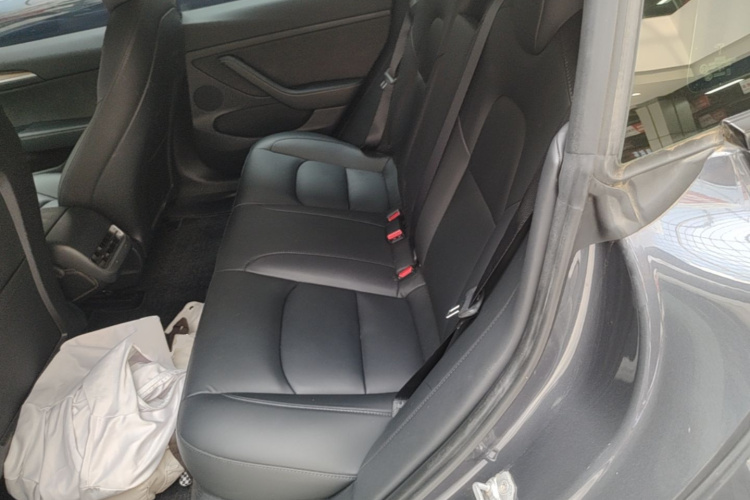 Tesla Model 3 2021 car image #17