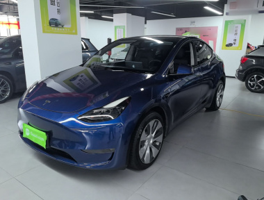 Tesla Model Y 2021 immagine di auto 