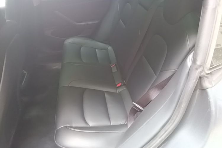 Tesla Model 3 2020 #17 Tesla Model 3 2020 car image #17