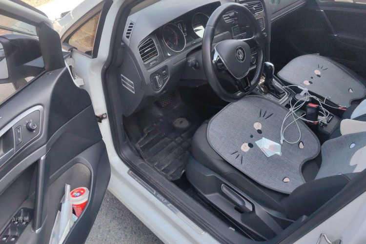 Volkswagen Golf 2017 car image #18