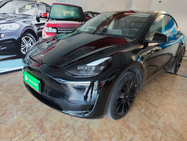 Tesla Model Y 2024 car image 