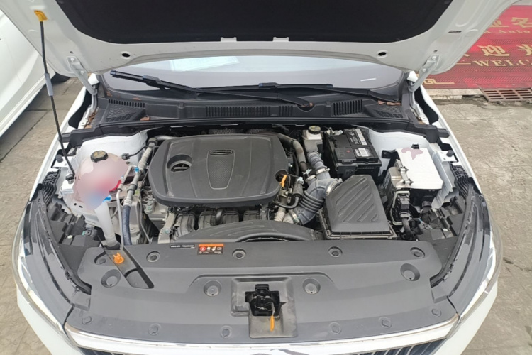 GEELY Emgrand 2024 car image #20