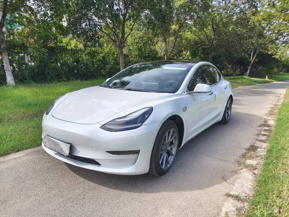 Tesla Model 3 2020 #4 Tesla Model 3 2020 car image #4