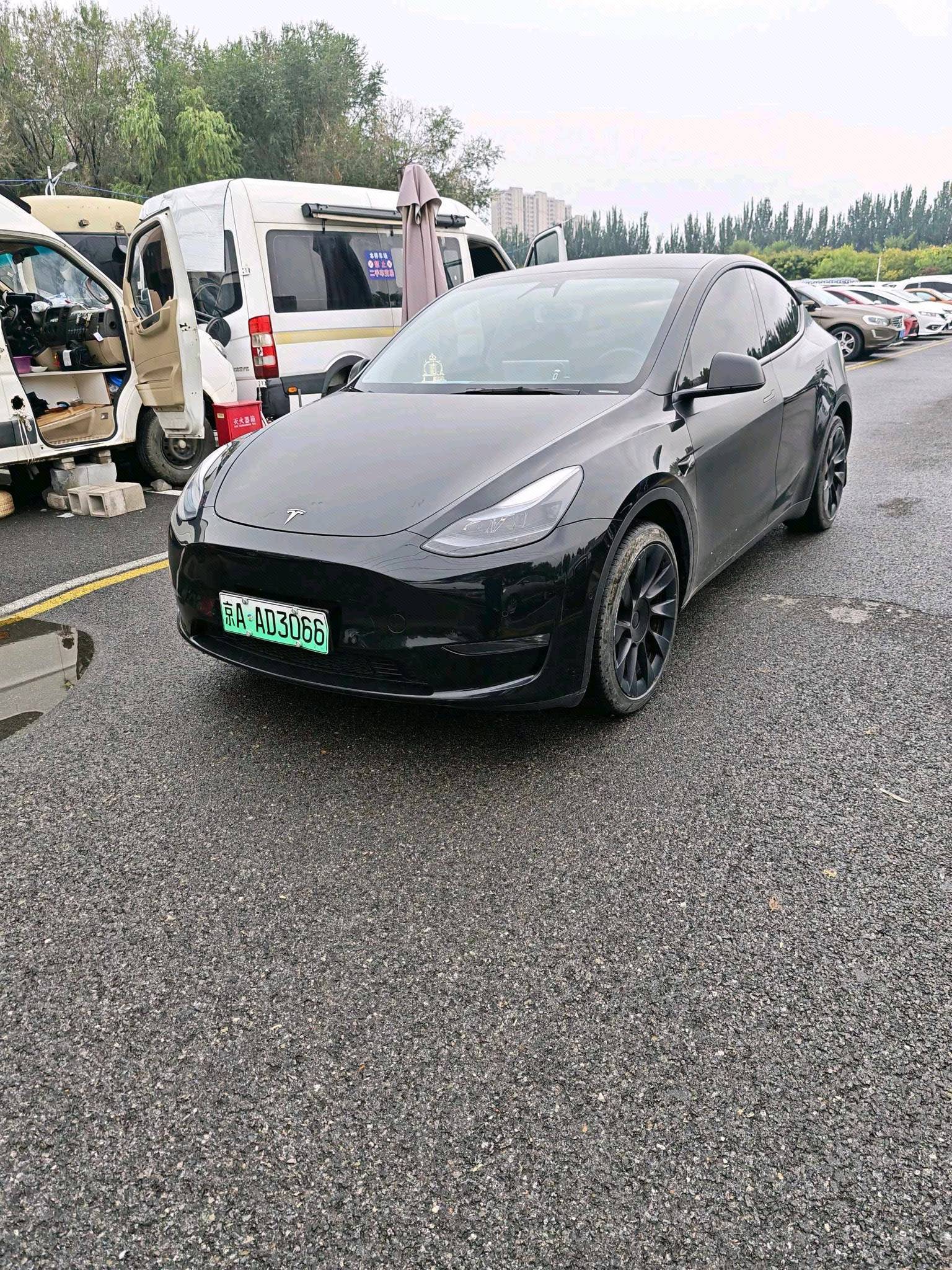 Tesla Model Y 2023 Tesla Model Y 2023 car image