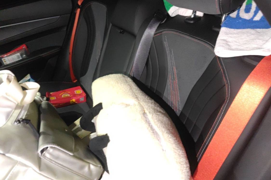 GEELY Binray 2022 #19 GEELY Binray 2022 imagen de coche #19